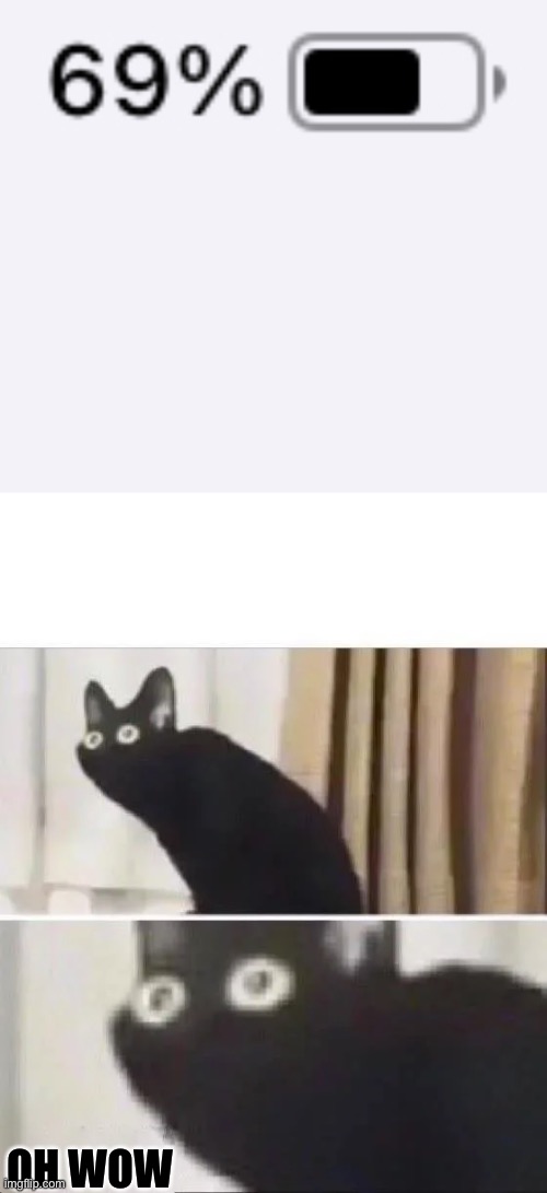 OH WOW | image tagged in oh no black cat | made w/ Imgflip meme maker