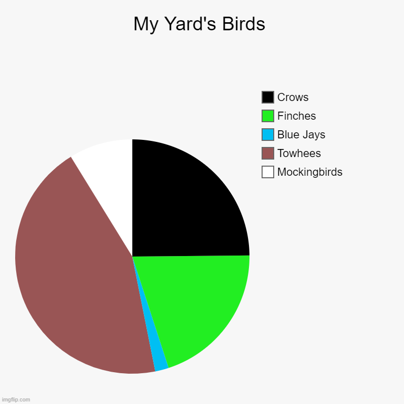 Birds | My Yard's Birds | Mockingbirds, Towhees, Blue Jays, Finches, Crows | image tagged in charts,pie charts,birds,animals,funny,memes | made w/ Imgflip chart maker