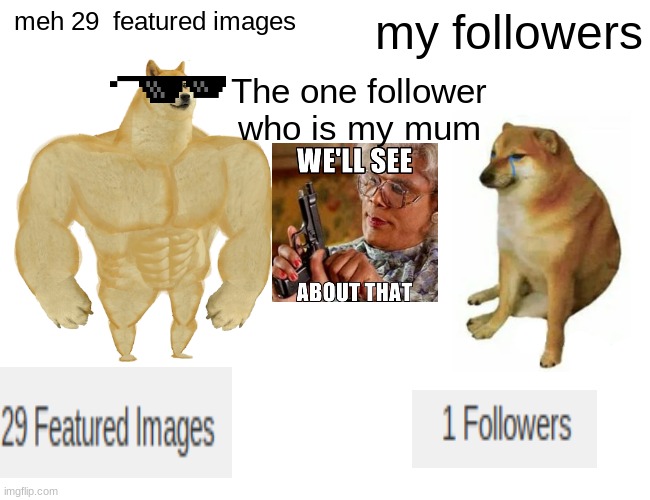 Buff Doge vs. Cheems | meh 29  featured images; my followers; The one follower who is my mum | image tagged in memes,buff doge vs cheems | made w/ Imgflip meme maker