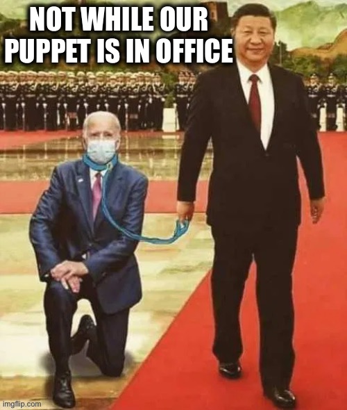 NOT WHILE OUR PUPPET IS IN OFFICE | made w/ Imgflip meme maker