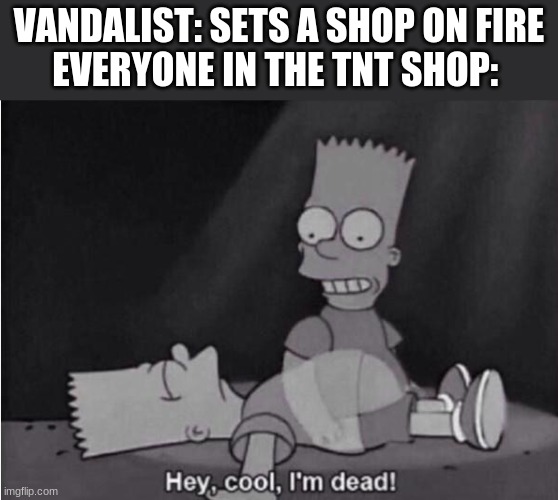 Hey, cool, I'm dead! | VANDALIST: SETS A SHOP ON FIRE
EVERYONE IN THE TNT SHOP: | image tagged in hey cool i'm dead | made w/ Imgflip meme maker