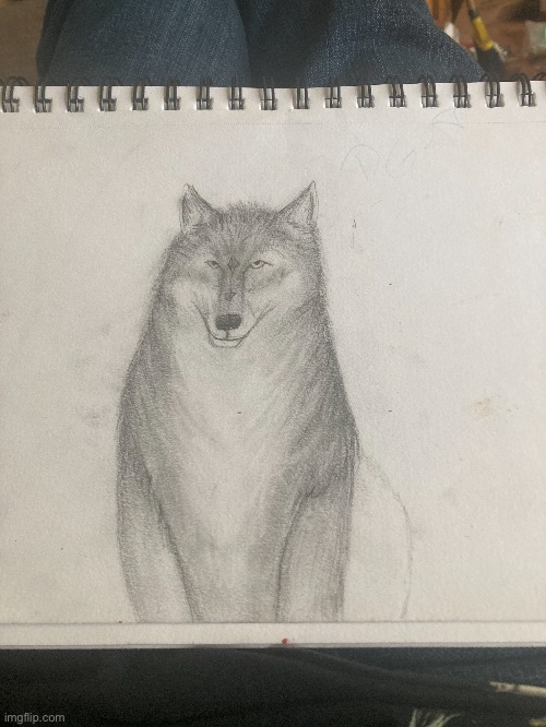 Some ort I never finished | image tagged in wolf,drawing | made w/ Imgflip meme maker