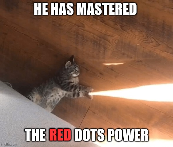 part 2 of catching the red dot | HE HAS MASTERED; THE           DOTS POWER; RED | image tagged in red dot | made w/ Imgflip meme maker