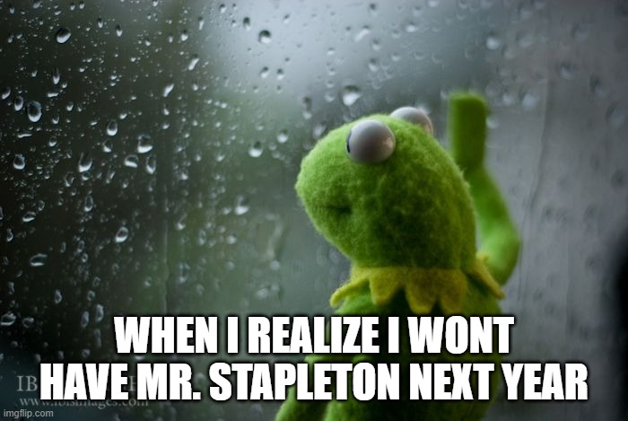 kermit window | WHEN I REALIZE I WONT HAVE MR. STAPLETON NEXT YEAR | image tagged in kermit window | made w/ Imgflip meme maker