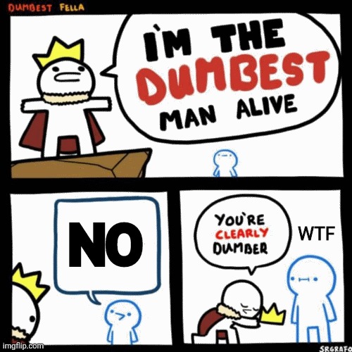 I'm the dumbest man alive | NO; WTF | image tagged in i'm the dumbest man alive | made w/ Imgflip meme maker