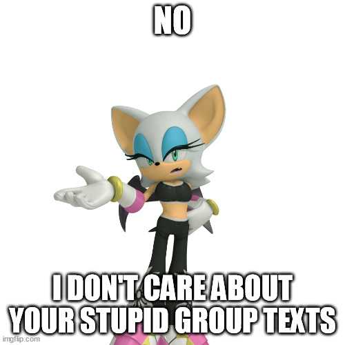 I can understand why they'd be useful, but still... | NO; I DON'T CARE ABOUT YOUR STUPID GROUP TEXTS | image tagged in annoyed rouge the bat | made w/ Imgflip meme maker