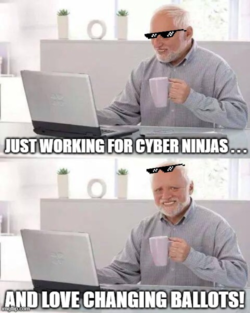 Cyberninja Changing Votes in Arizona | JUST WORKING FOR CYBER NINJAS . . . AND LOVE CHANGING BALLOTS! | image tagged in ninjas,voting,criminals,election fraud,change,votes | made w/ Imgflip meme maker