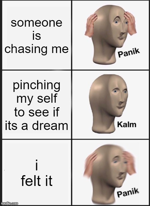 oh no oh no oh no no no no no | someone is chasing me; pinching my self to see if its a dream; i felt it | image tagged in memes,panik kalm panik | made w/ Imgflip meme maker