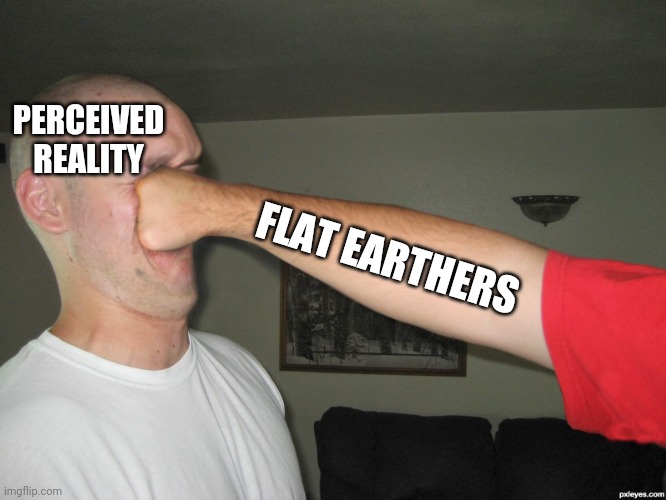 Flat earthers be like... | PERCEIVED REALITY; FLAT EARTHERS | image tagged in face punch,flat earthers,reality,no logic,memes,science | made w/ Imgflip meme maker