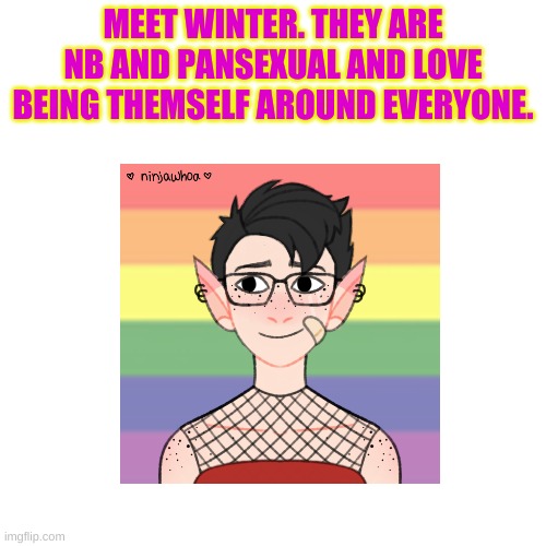 Winter | MEET WINTER. THEY ARE NB AND PANSEXUAL AND LOVE BEING THEMSELF AROUND EVERYONE. | made w/ Imgflip meme maker