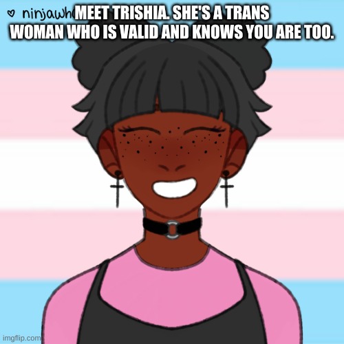 I will be constantly posting these fyi | MEET TRISHIA. SHE'S A TRANS WOMAN WHO IS VALID AND KNOWS YOU ARE TOO. | made w/ Imgflip meme maker