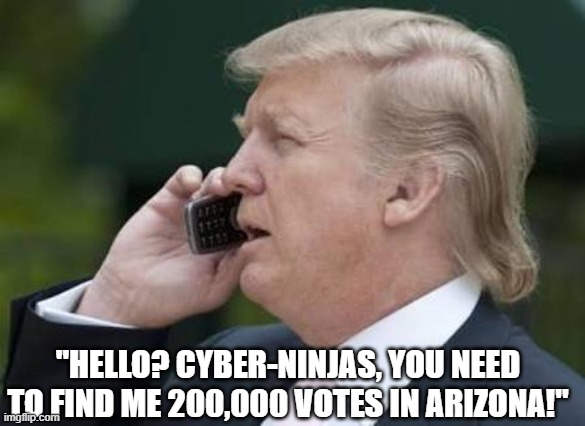 tRump asking for votes AGAIN | "HELLO? CYBER-NINJAS, YOU NEED TO FIND ME 200,000 VOTES IN ARIZONA!" | image tagged in trump,sore loser,loser,arizona,election fraud,votes | made w/ Imgflip meme maker