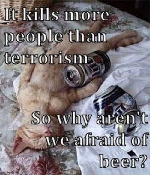 Why aren't we afraid of beer? | image tagged in alcoholism,beer,terrorism,fear,lolcat | made w/ Imgflip meme maker