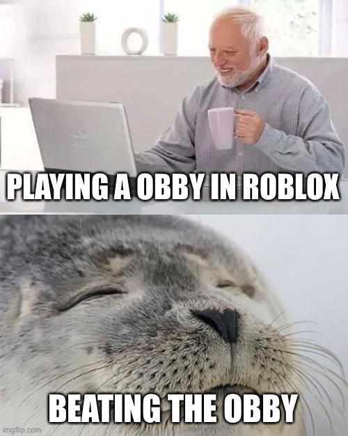 PLAYING A OBBY IN ROBLOX; BEATING THE OBBY | image tagged in memes,satisfied seal,video games | made w/ Imgflip meme maker