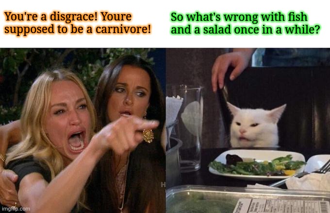 My vegetarian cat | You're a disgrace! Youre supposed to be a carnivore! So what's wrong with fish and a salad once in a while? | image tagged in memes,woman yelling at cat,cats,carnivores,fish,funny memes | made w/ Imgflip meme maker