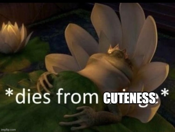 Dies from cringe | CUTENESS | image tagged in dies from cringe | made w/ Imgflip meme maker