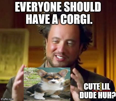 Ancient Aliens Meme | EVERYONE SHOULD HAVE A CORGI. CUTE LIL DUDE HUH? | image tagged in memes,ancient aliens | made w/ Imgflip meme maker