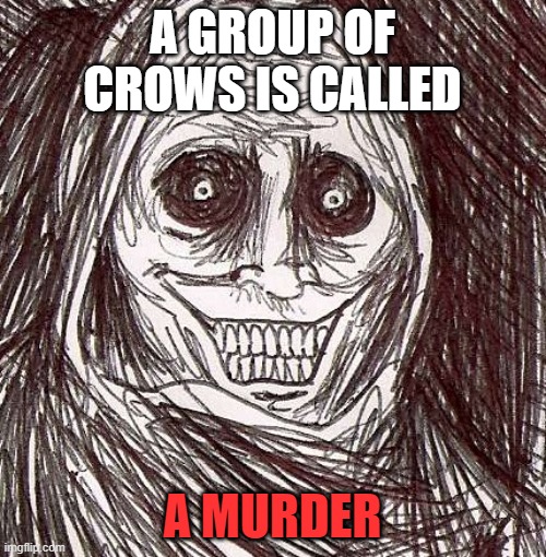 Unwanted House Guest Meme | A GROUP OF CROWS IS CALLED A MURDER | image tagged in memes,unwanted house guest | made w/ Imgflip meme maker