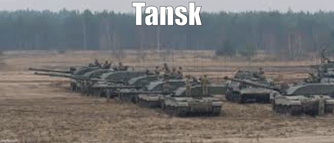 Tanks | Tansk | image tagged in tanks | made w/ Imgflip meme maker