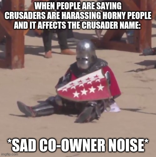 Sad crusader noises | WHEN PEOPLE ARE SAYING CRUSADERS ARE HARASSING HORNY PEOPLE AND IT AFFECTS THE CRUSADER NAME:; *SAD CO-OWNER NOISE* | image tagged in sad crusader noises | made w/ Imgflip meme maker