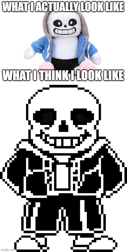 Undertale sans Memes & GIFs - Imgflip