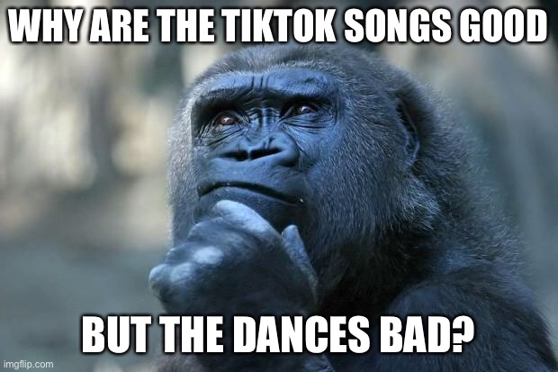 Deep Thoughts | WHY ARE THE TIKTOK SONGS GOOD; BUT THE DANCES BAD? | image tagged in deep thoughts | made w/ Imgflip meme maker