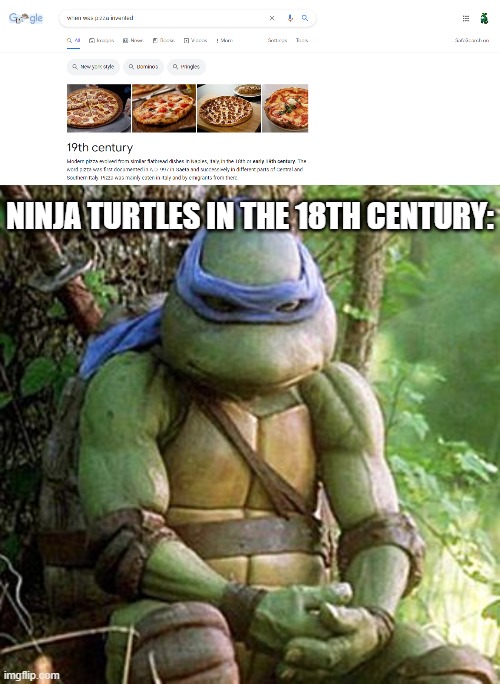 NINJA TURTLES IN THE 18TH CENTURY: | image tagged in sad ninja turtle | made w/ Imgflip meme maker