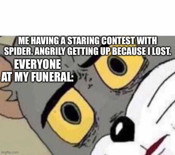 Tom Cat Unsettled Close up | ME HAVING A STARING CONTEST WITH SPIDER. ANGRILY GETTING UP BECAUSE I LOST. EVERYONE AT MY FUNERAL: | image tagged in tom cat unsettled close up | made w/ Imgflip meme maker