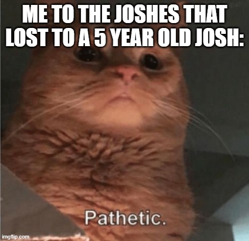 Pathetic Cat | ME TO THE JOSHES THAT LOST TO A 5 YEAR OLD JOSH: | image tagged in pathetic cat | made w/ Imgflip meme maker