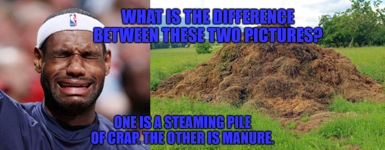 LeBron is Crap | WHAT IS THE DIFFERENCE BETWEEN THESE TWO PICTURES? ONE IS A STEAMING PILE OF CRAP. THE OTHER IS MANURE. | image tagged in lebron james,crap | made w/ Imgflip meme maker