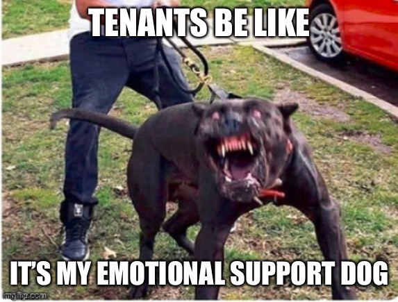 Tenants be like | TENANTS BE LIKE; IT’S MY EMOTIONAL SUPPORT DOG | image tagged in memes | made w/ Imgflip meme maker