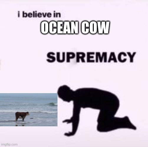 All of you should | OCEAN COW | image tagged in i believe in supremacy | made w/ Imgflip meme maker