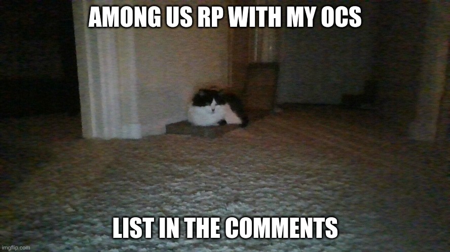 caly be vibin fr doe | AMONG US RP WITH MY OCS; LIST IN THE COMMENTS | image tagged in caly be vibin fr doe | made w/ Imgflip meme maker