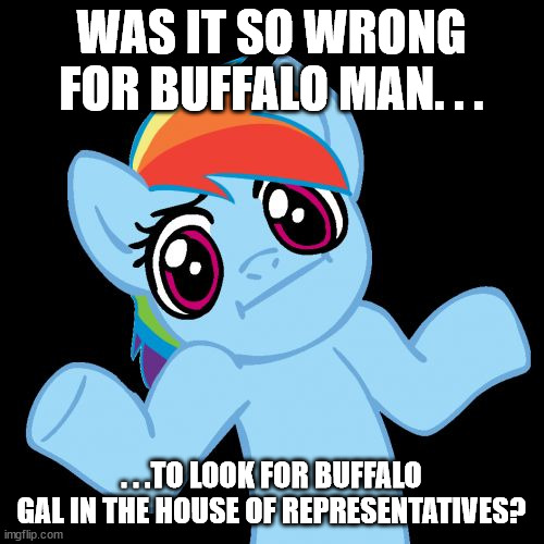 Pony Shrugs Meme | WAS IT SO WRONG FOR BUFFALO MAN. . . . . .TO LOOK FOR BUFFALO GAL IN THE HOUSE OF REPRESENTATIVES? | image tagged in memes,pony shrugs | made w/ Imgflip meme maker