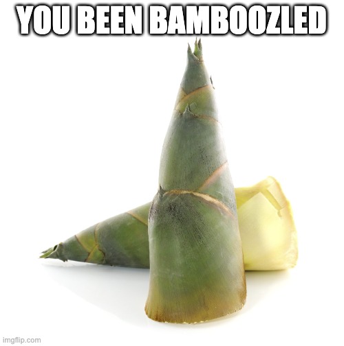 YOU HAVE BEEN BAMBOO-ZLED | YOU BEEN BAMBOOZLED | image tagged in you have been bamboo-zled | made w/ Imgflip meme maker