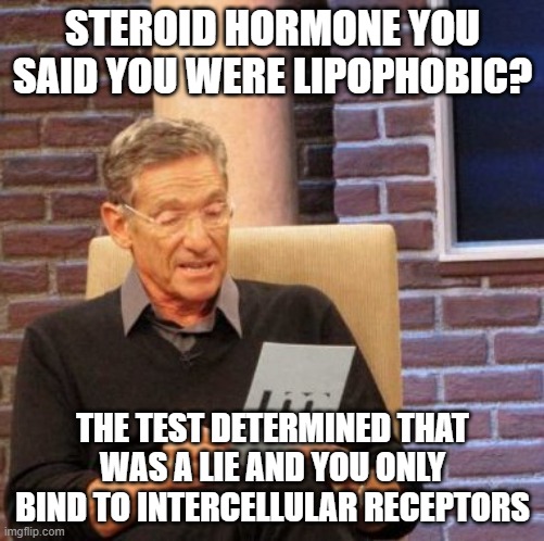 Maury Lie Detector Meme | STEROID HORMONE YOU SAID YOU WERE LIPOPHOBIC? THE TEST DETERMINED THAT WAS A LIE AND YOU ONLY BIND TO INTERCELLULAR RECEPTORS | image tagged in memes,maury lie detector | made w/ Imgflip meme maker