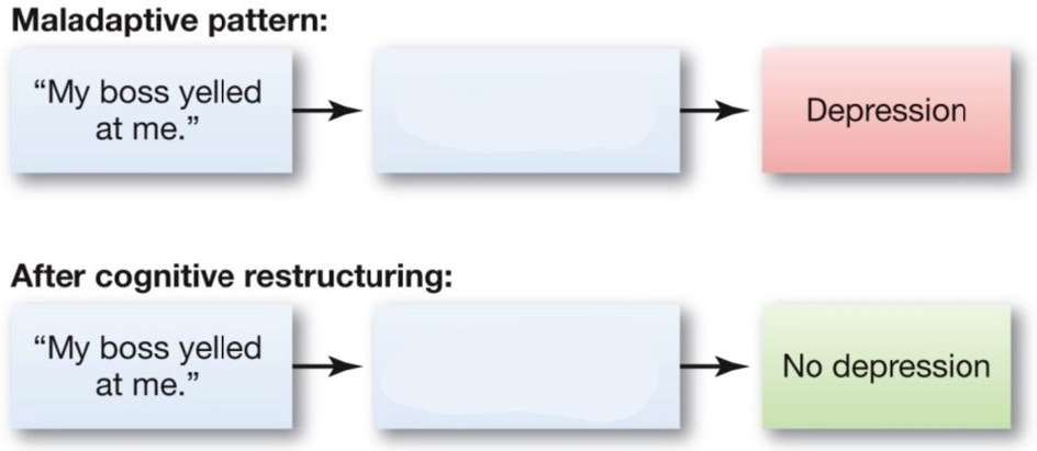 Maladaptive Pattern Blank Template - Imgflip