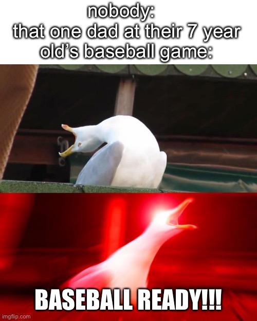 BOY seagull | nobody:  
that one dad at their 7 year
old’s baseball game:; BASEBALL READY!!! | image tagged in inhaling seagull,hahaha,funny,boredom,funny memes | made w/ Imgflip meme maker