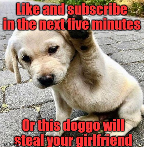 I copied off yt :/ | Like and subscribe in the next five minutes; Or this doggo will steal your girlfriend | image tagged in henlo doggo | made w/ Imgflip meme maker