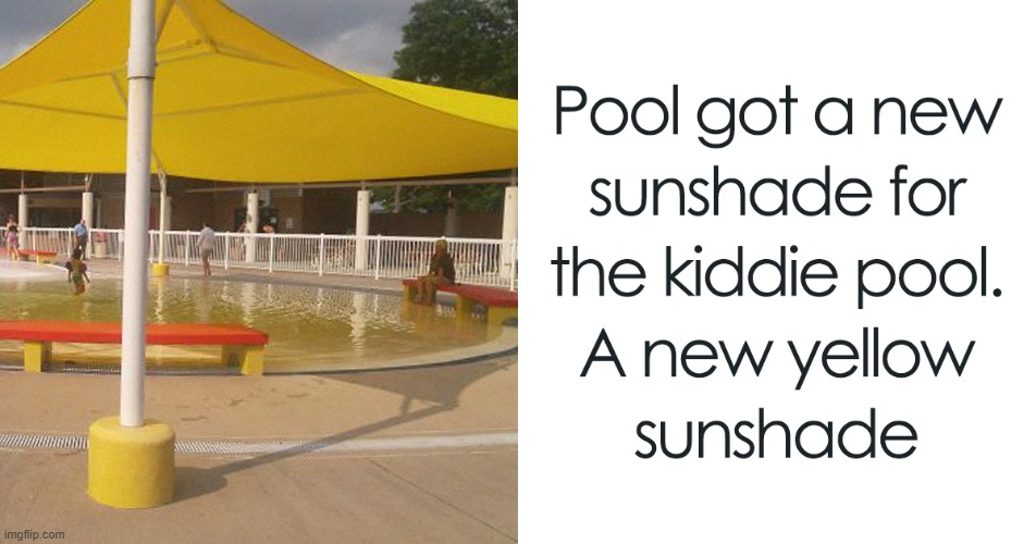 Wanna Go For a Swim? | image tagged in you had one job | made w/ Imgflip meme maker