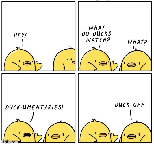 Oof | image tagged in funny,comics/cartoons,ducks,birds,puns | made w/ Imgflip meme maker