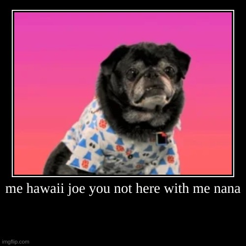 me hawaii joe you not here with me nana | | image tagged in funny,demotivationals | made w/ Imgflip demotivational maker