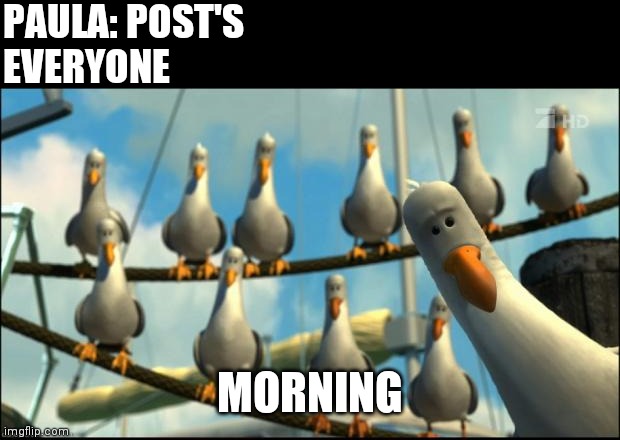 Nemo Seagulls Mine | PAULA: POST'S
EVERYONE; MORNING | image tagged in nemo seagulls mine | made w/ Imgflip meme maker