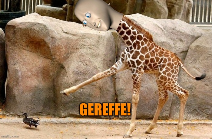 Meem man's zoo! | GEREFFE! | image tagged in giraffe pointing at a duck,giraffe,meme man | made w/ Imgflip meme maker