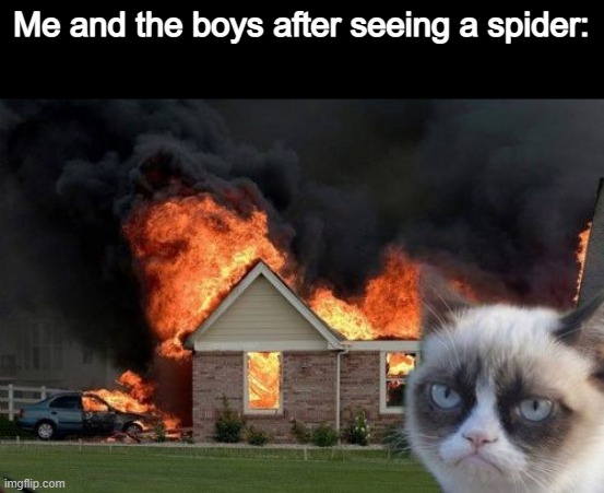 We burnt our house down and now we have to get a new one. I see nothing wrong with this |  Me and the boys after seeing a spider: | image tagged in memes,burn kitty,grumpy cat | made w/ Imgflip meme maker
