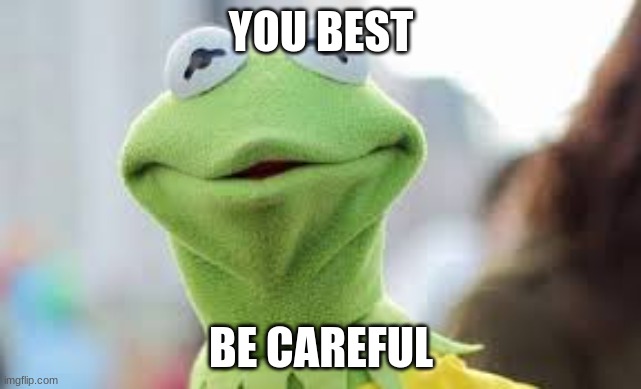 Kermit Stare | YOU BEST BE CAREFUL | image tagged in kermit stare | made w/ Imgflip meme maker