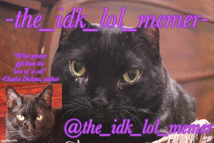 idk_lol_memer temp 2 Blank Meme Template