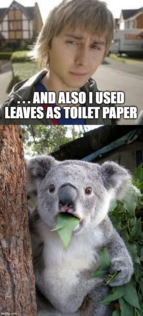 jesus christ | . . . AND ALSO I USED LEAVES AS TOILET PAPER | image tagged in jay inbetweeners completed it,memes,surprised koala | made w/ Imgflip meme maker