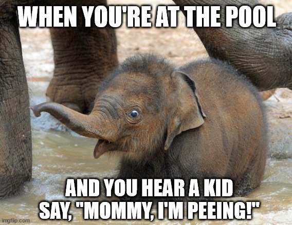 Yeet the child! | WHEN YOU'RE AT THE POOL; AND YOU HEAR A KID SAY, "MOMMY, I'M PEEING!" | image tagged in elephant,pool,funny | made w/ Imgflip meme maker