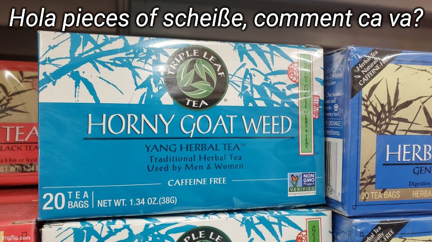 Yes I did just use 4 different languages | Hola pieces of scheiße, comment ca va? | made w/ Imgflip meme maker